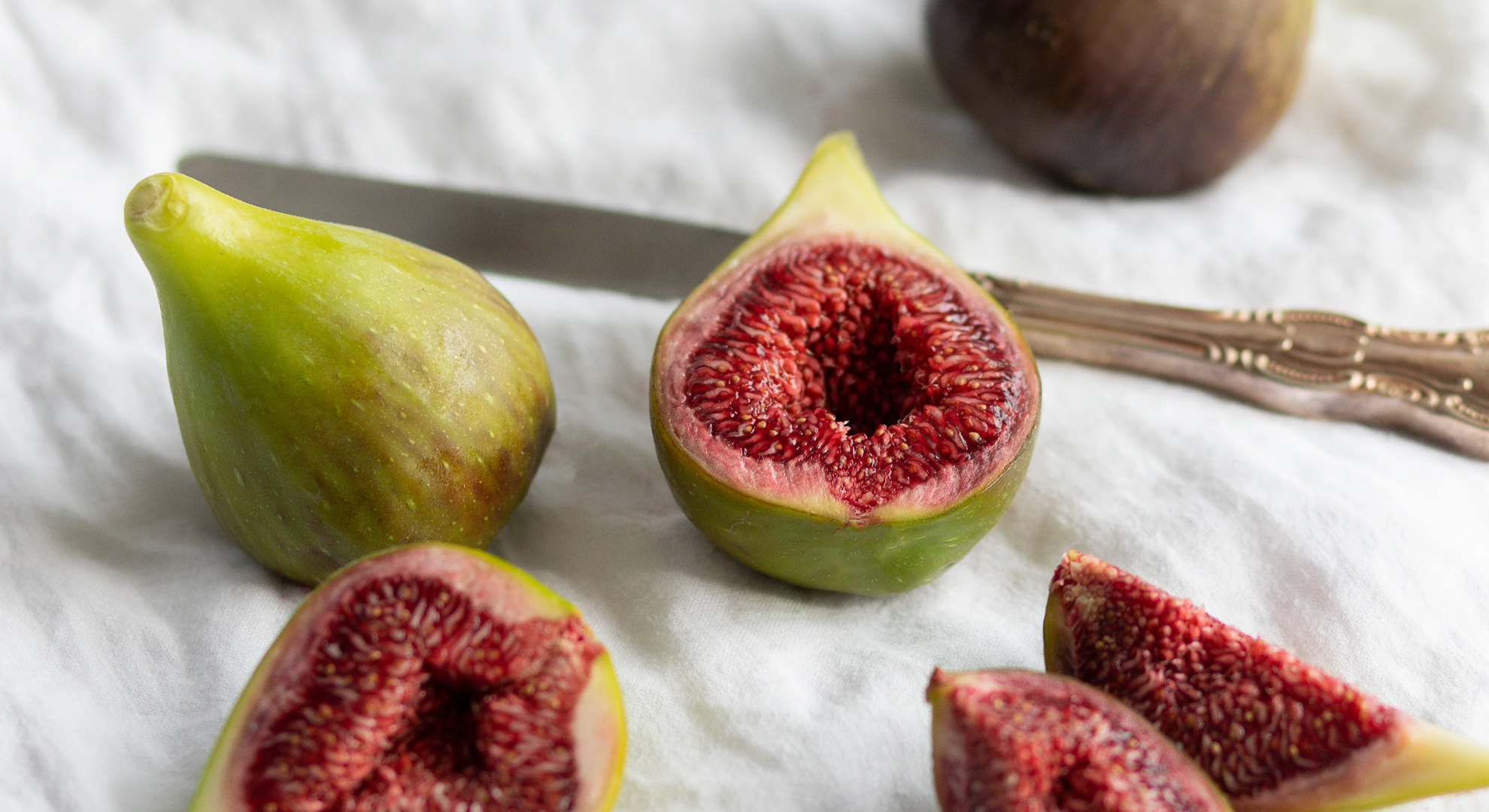 adriatic fig
