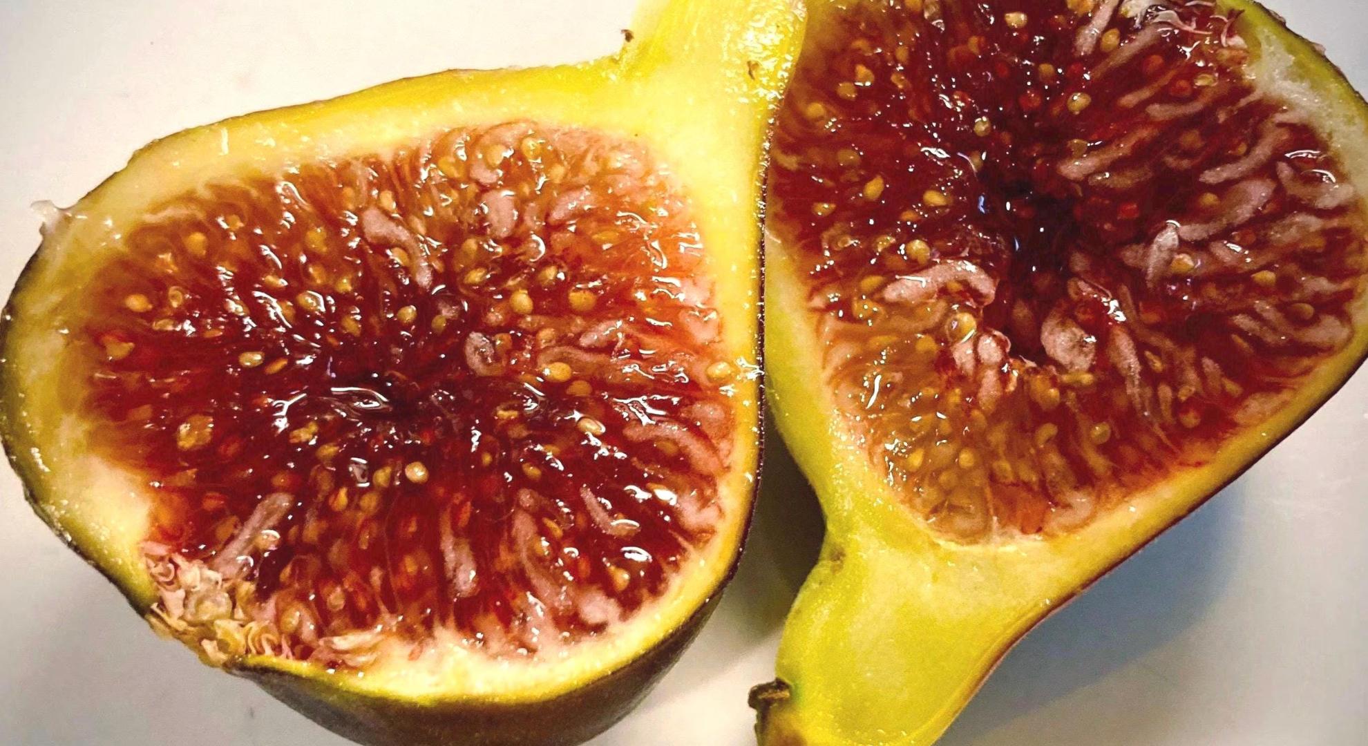 fig