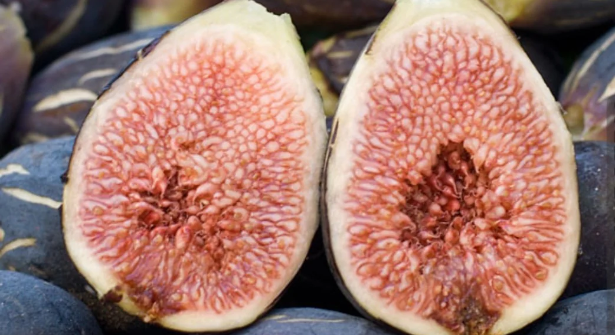 lsu varieties figs