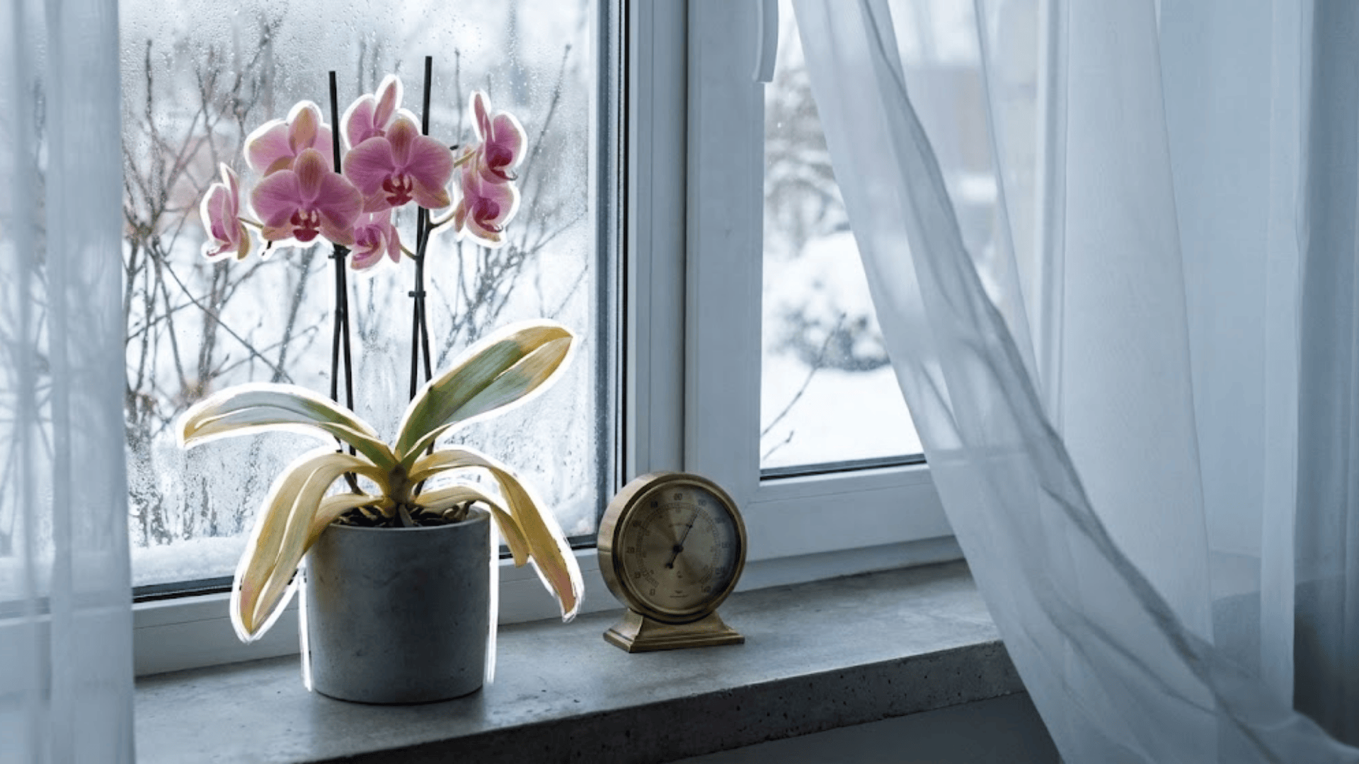temperature stress and drafts