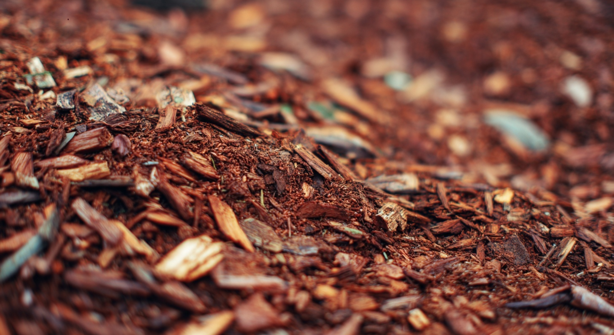 what is mulch